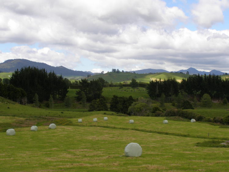 13-11-Whitianga-Rotorua-PB121436