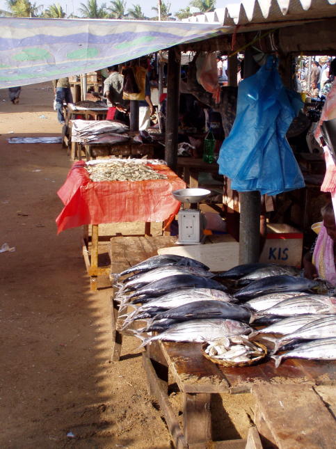 Vismarkt Negombo