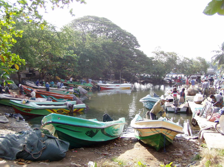 De haven Negombo