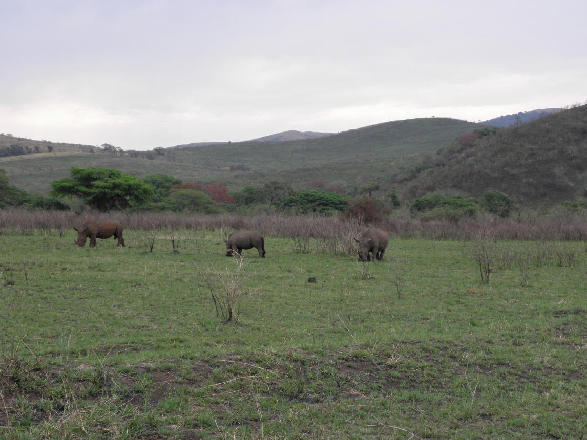 Hluhluwe National Park000