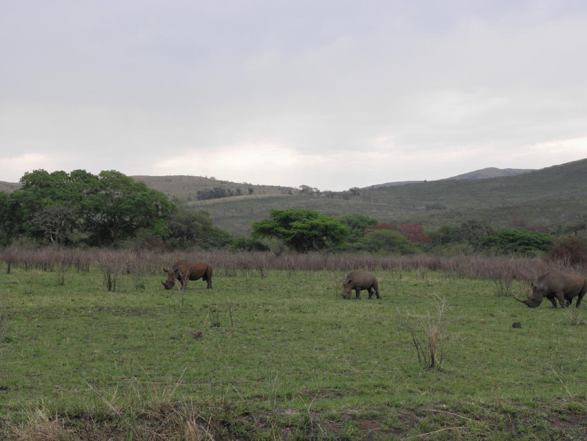 Hluhluwe National Park001