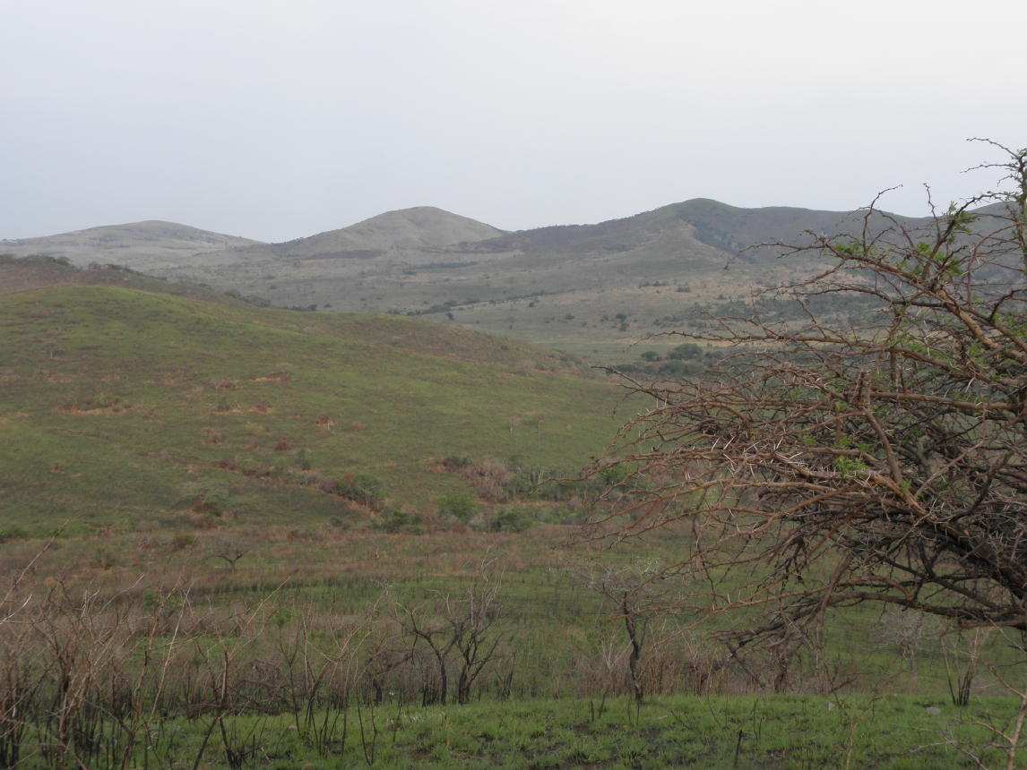 Hluhluwe National Park008