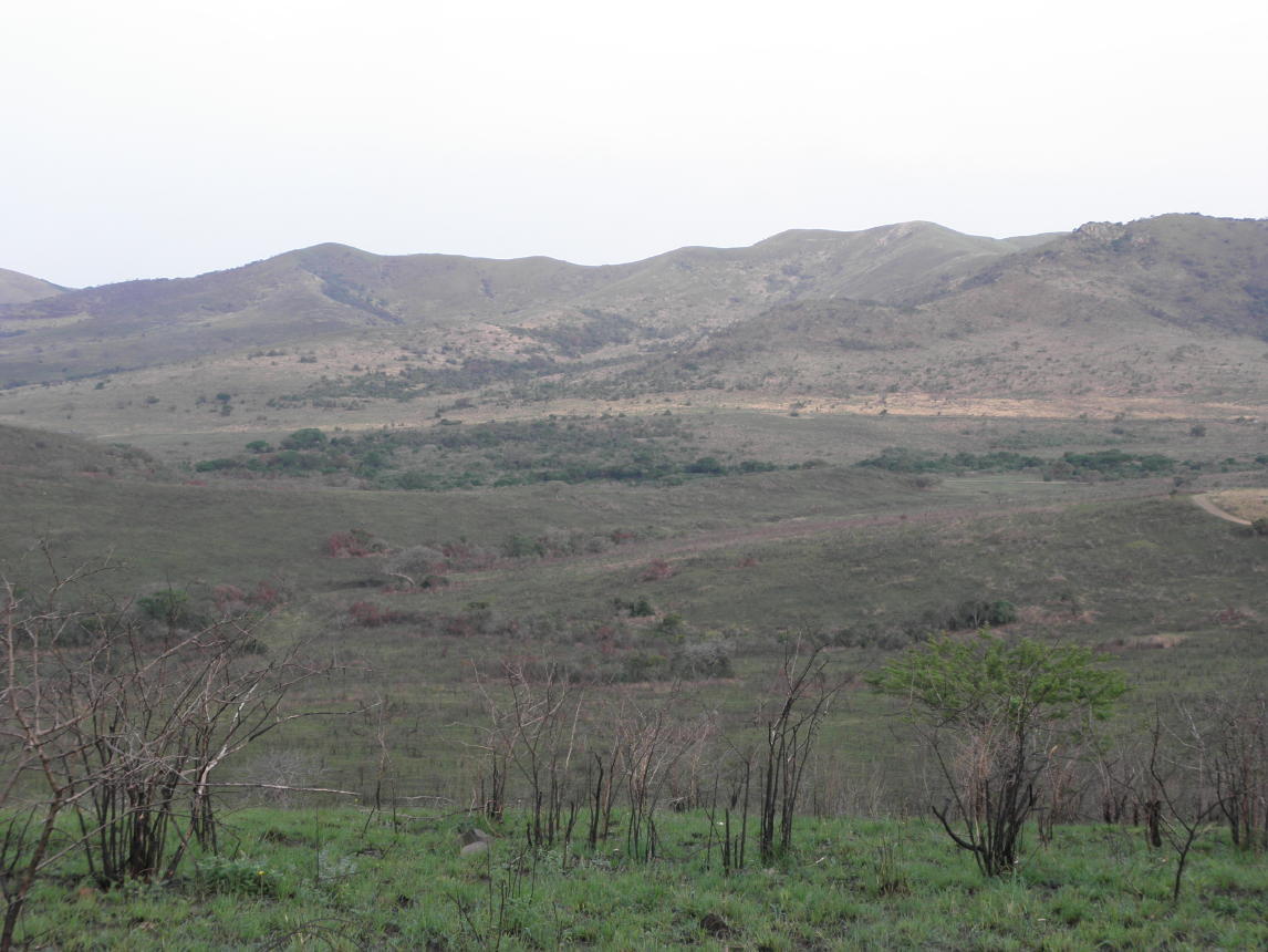 Hluhluwe National Park010