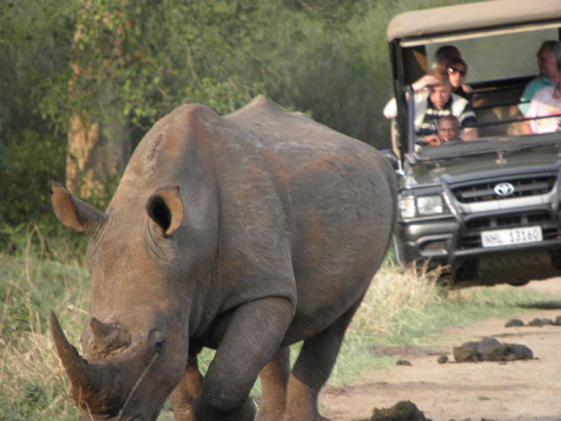 Hluhluwe National Park014